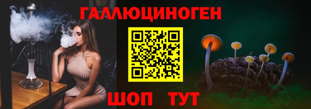 Галлюциногенные грибы Psilocybe  Вход с VPN  Галлюциногенные грибы Psilocybe  Новокубанск 