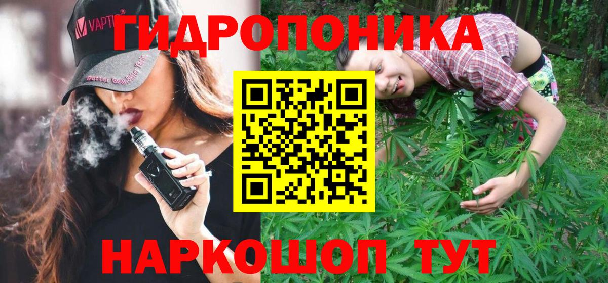 Конопля Bruce Banner  Вход с VPN  Канабис индика  Конопля конопля  Новокубанск 